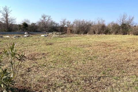 Building plot Poreč, 781m2