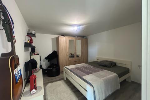 Poreč, okolica, renovirana istarska kuća sa zemljištem i konobom