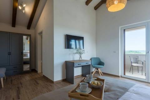 Istra,Buje,okolica-Vila s panoramskim pogledom