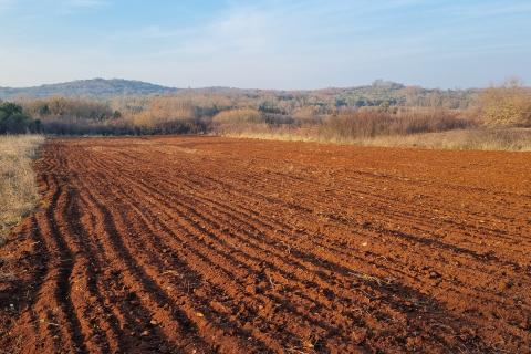 Земельный участок нестроительного назначения Rovinjsko Selo, Rovinj, 3.180m2