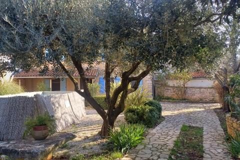 Pula, Šišan-kamena kuća za dugoročni najam