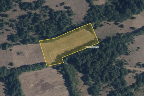 ISTRA, BARBAN - Povoljno poljoprivredno zemljište