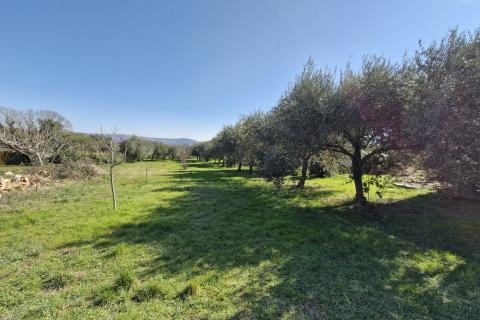 Istria, Rakalj – House with a pool and building plot