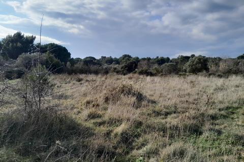 Building plot Premantura, Medulin, 2.378m2
