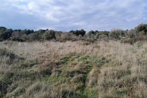 Building plot Premantura, Medulin, 2.378m2