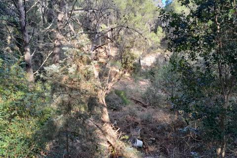 Istra,Premantura,negrađevinsko zemljište na rubu urbanizacije