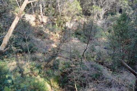 Istra,Premantura,negrađevinsko zemljište na rubu urbanizacije