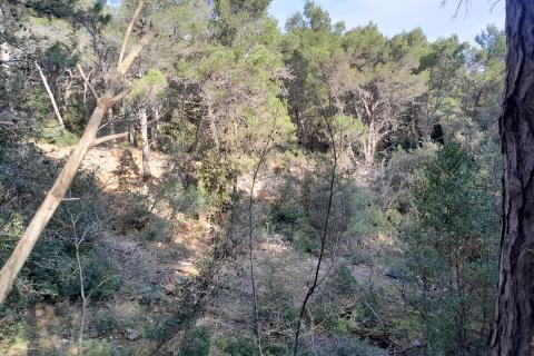 Istra,Premantura,negrađevinsko zemljište na rubu urbanizacije