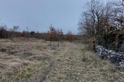 Istra,Orbanići-veliko poljoprivredno zemljište za OPG