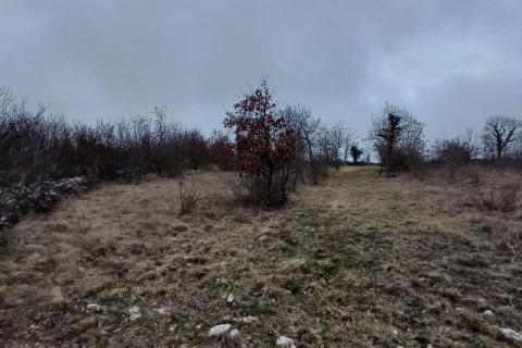 Istra,Orbanići-veliko poljoprivredno zemljište za OPG