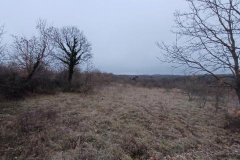 Istra,Orbanići-veliko poljoprivredno zemljište za OPG