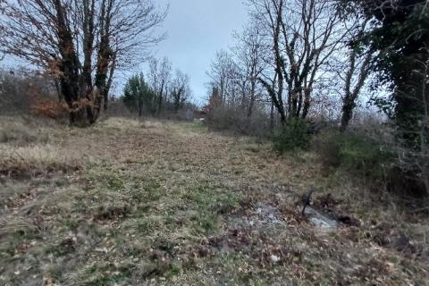 Istra,Orbanići-veliko poljoprivredno zemljište za OPG