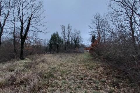 Istra,Orbanići-veliko poljoprivredno zemljište za OPG