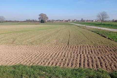 Stavbno zemljišče Brezovica, 1.000m2