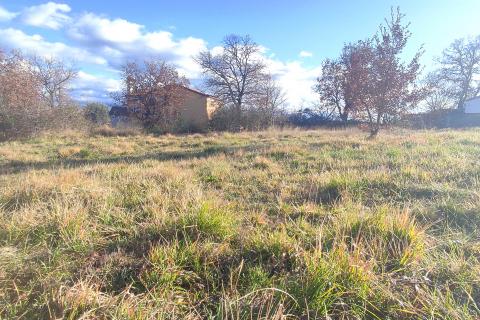 Building plot Kaštel, Buje, 861m2