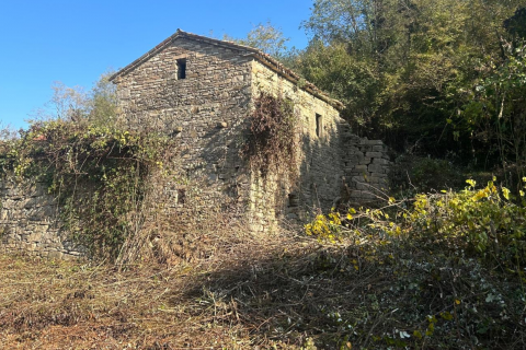Istra, Belaj, staro istrsko posestvo s hišo za obnovo in vrtom 5542 m2