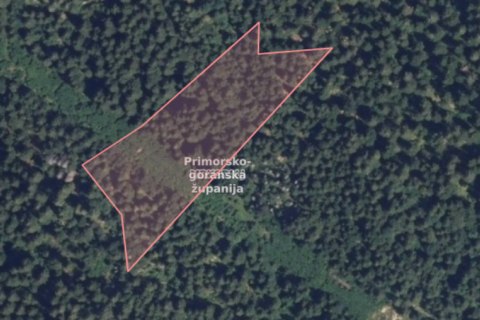 Poljoprivredno zemljište, Gorski kotar, 11000 m2