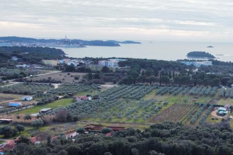 ISTRA - ROVINJ - zemljište kod Punta križ plaže