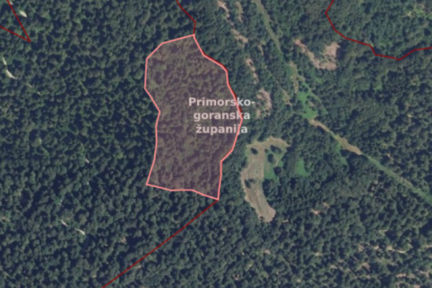Šuma - Gorski kotar, Kupjak, 35 000 m2