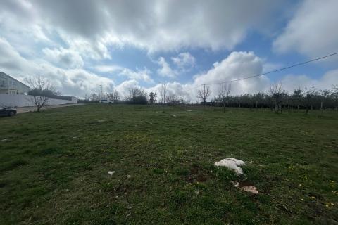 Building plot Poreč, 884m2