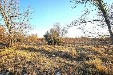 Stavbno zemljišče Grožnjan, 3.716m2