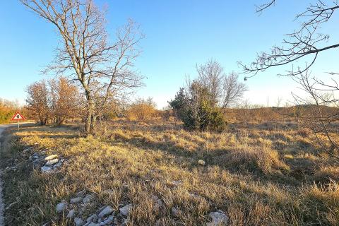 Stavbno zemljišče Grožnjan, 3.716m2