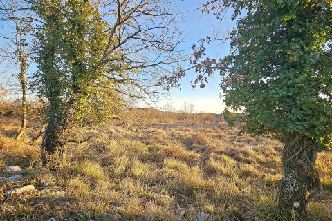 Stavbno zemljišče Grožnjan, 3.716m2