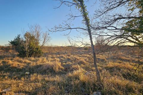 Stavbno zemljišče Grožnjan, 3.716m2