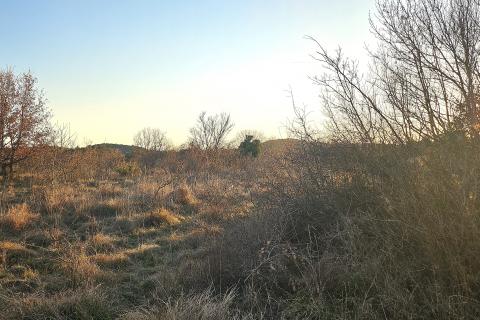 Stavbno zemljišče Grožnjan, 3.716m2