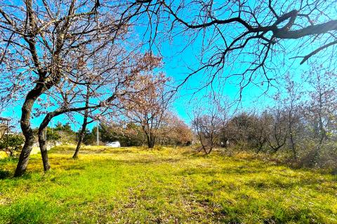 Bauland Savudrija, Umag, 8.490m2