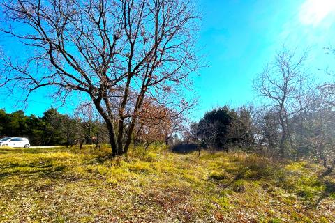 Bauland Savudrija, Umag, 8.490m2