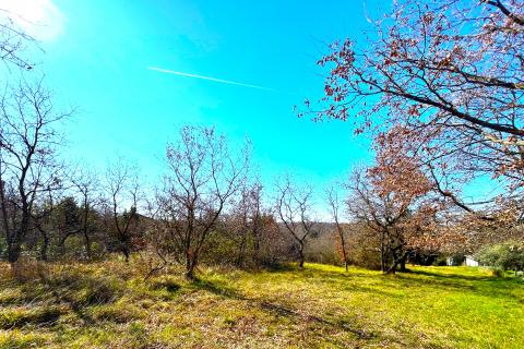 Bauland Savudrija, Umag, 8.490m2