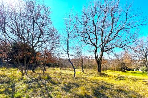 Bauland Savudrija, Umag, 8.490m2