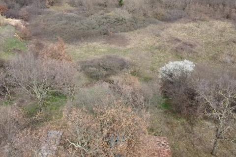 Building plot Poreč okolica, Poreč, 11.167m2