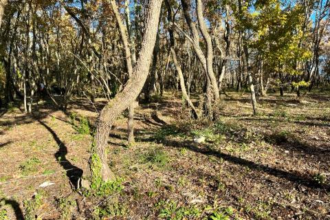 Non-structural plot Grožnjan, 17,84m2