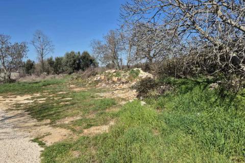 Istra, Vrsar okolica - kuća