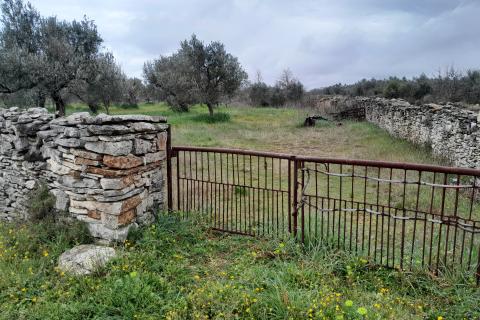 Istra,Vodnjan,maslinik na odličnoj lokaciji