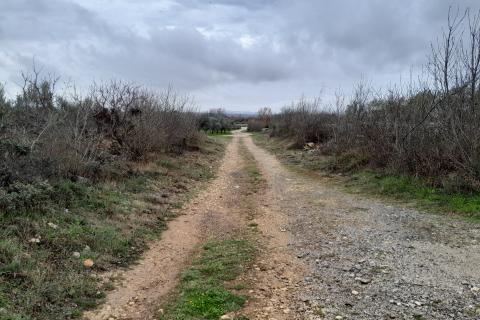 Istra,Vodnjan,maslinik na odličnoj lokaciji