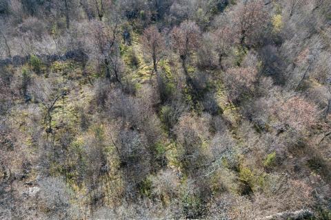 OTOK KRK,VRH-poljoprivredno zemljište -šuma