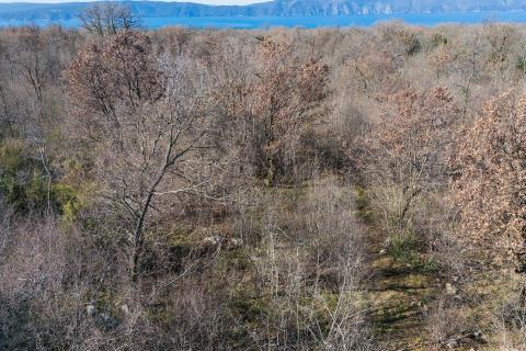 OTOK KRK,VRH-poljoprivredno zemljište -šuma