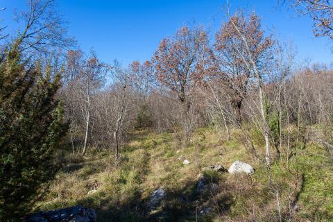 OTOK KRK,VRH-poljoprivredno zemljište -šuma