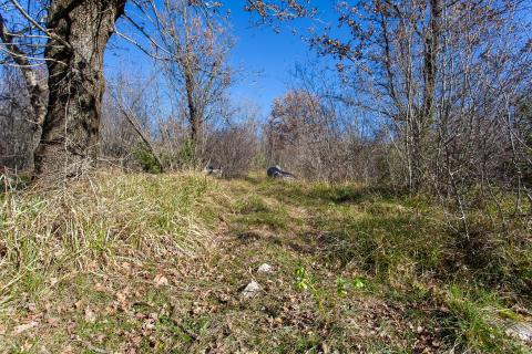 OTOK KRK,VRH-poljoprivredno zemljište -šuma