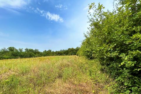 Istra,Lovrečica- Poljoprivredno zemljište 