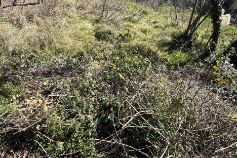 Rijeka, Draga, građevinsko zemljište 645m2