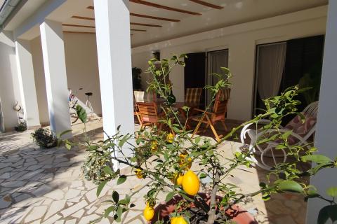 Istra, Vrsar, okolica,  kuća s 4 apartmana blizu mora