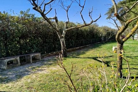 Istra, Kanfanar - Povijesna kamena kuća s pogledom na more