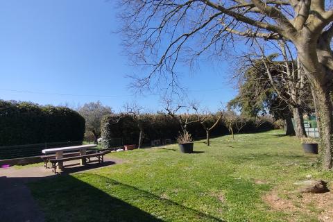 Istra, Kanfanar - Povijesna kamena kuća s pogledom na more