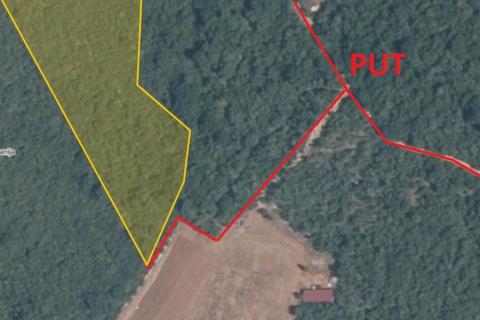 Istra, Rovinj - šuma 7400 m2 