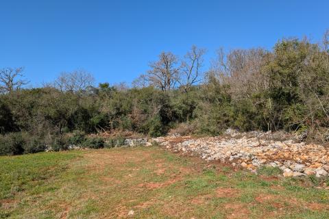 Istra, Rovinj - šuma 7400 m2 