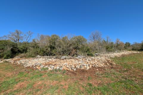 Istra, Rovinj - šuma 7400 m2 